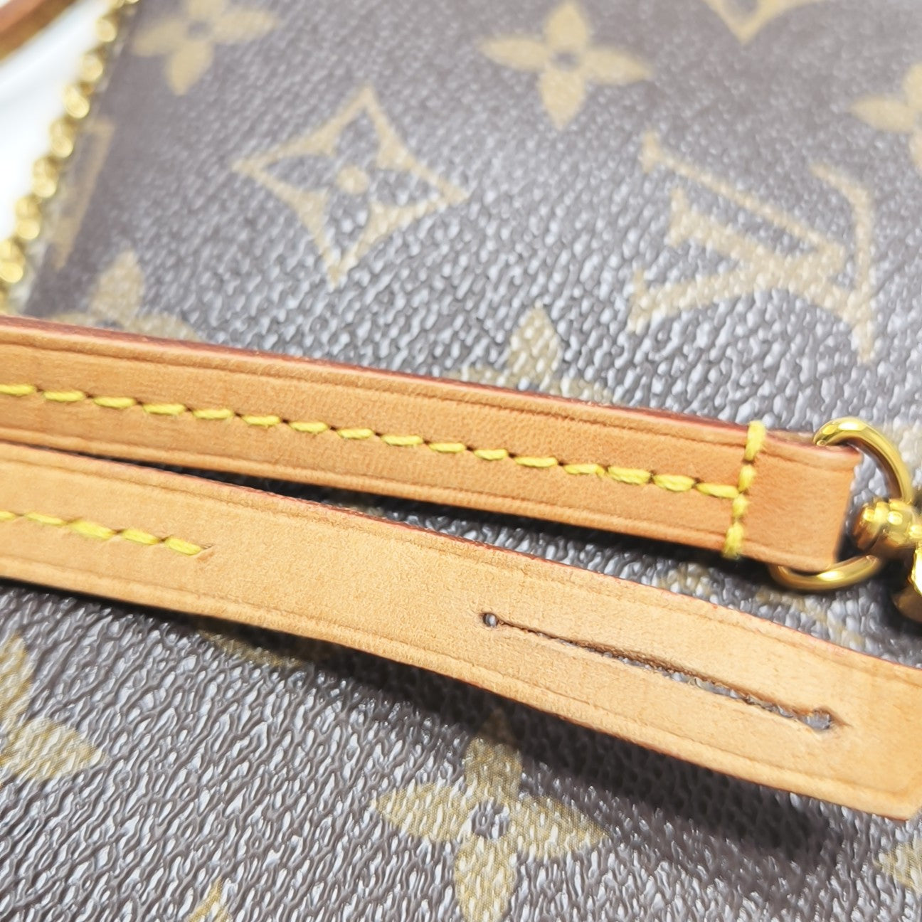 FAVORITE PM Monogram Coated Canvas Brown