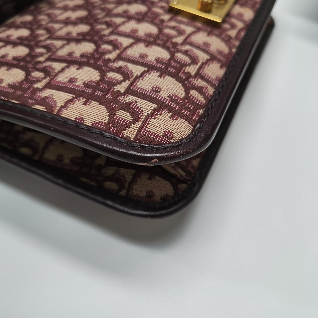 Dioraddict Oblique Canvas Red