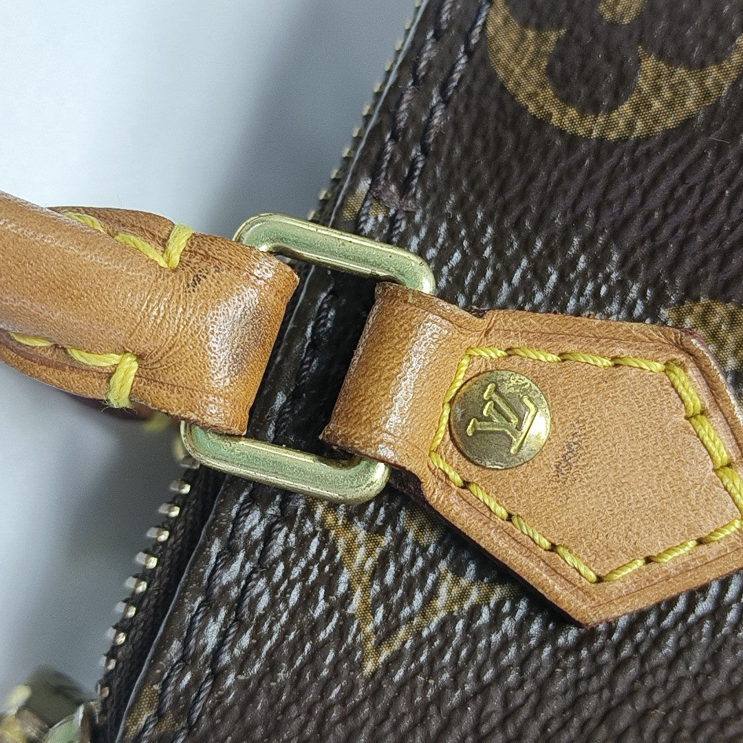 SPEEDY Nano Monogram Coated Canvas Brown