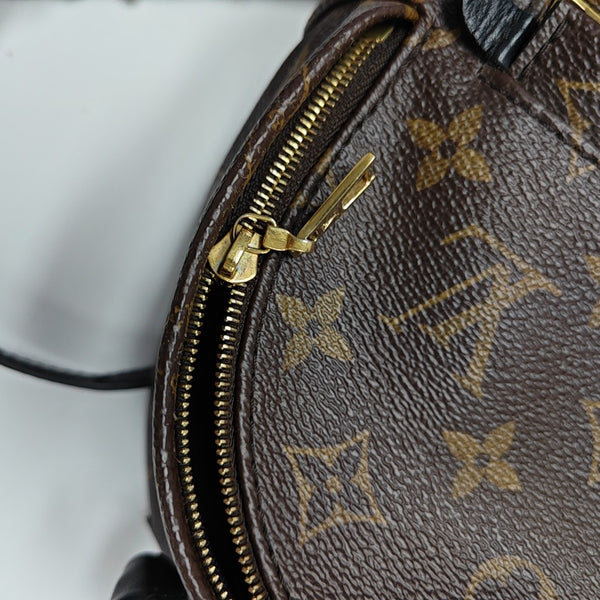 PALM SPRINGS Mini Monogram Coated Canvas Brown