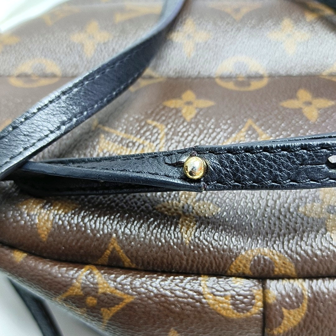 Authenticated pre-owned  PALM SPRINGS Mini Monogram Coated Canvas Brown - Backpack at Looply