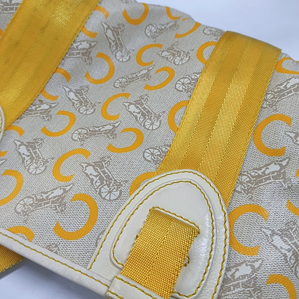 Coated Canvas Beige