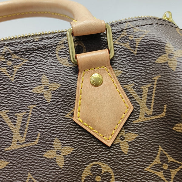 SPEEDY 25 Monogram Coated Canvas Brown