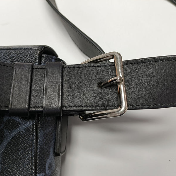 TRUNK PM Monogram Coated Canvas Gray