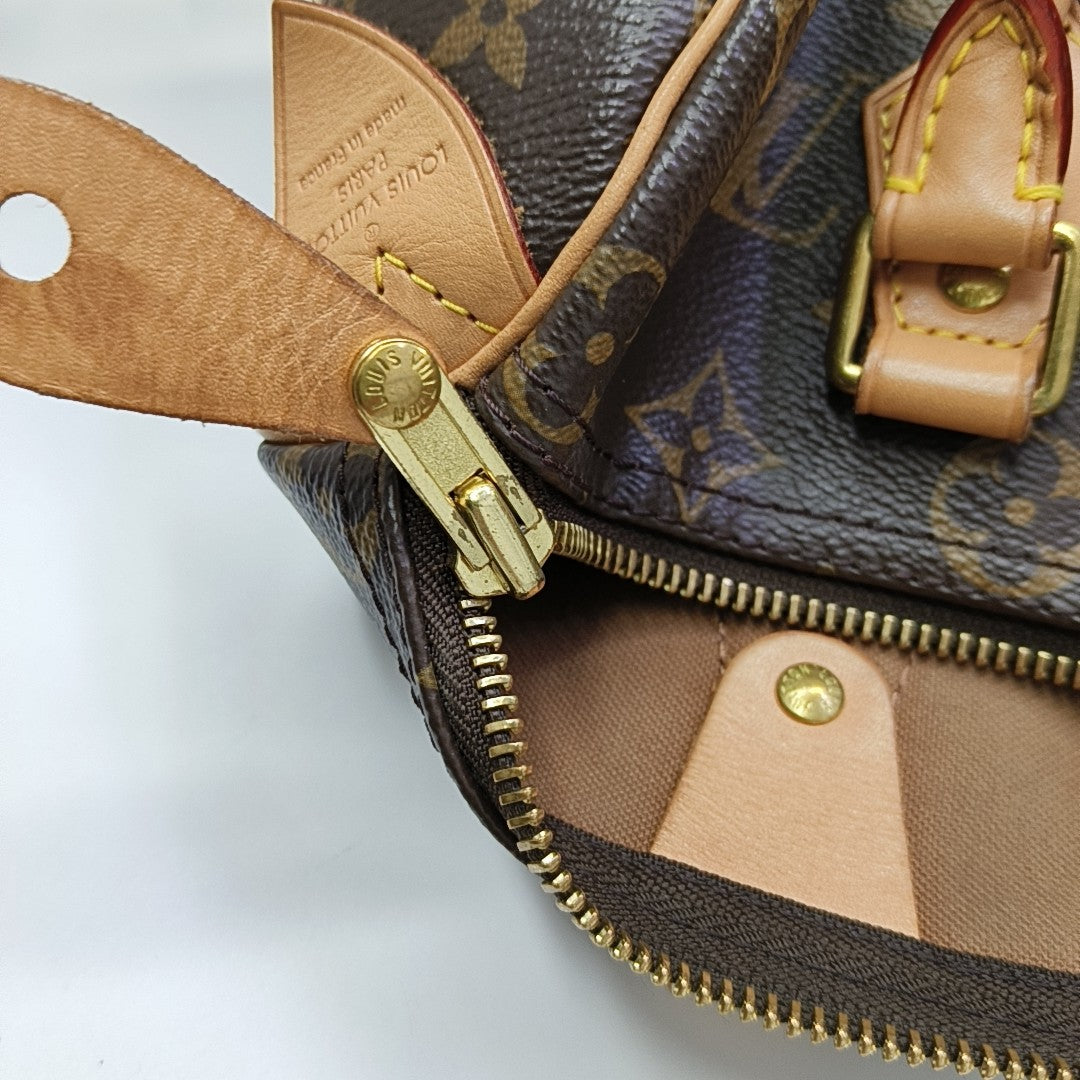 SPEEDY 25 Monogram Coated Canvas Brown