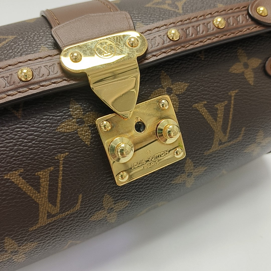 PAPILLON 19 Monogram Coated Canvas Brown