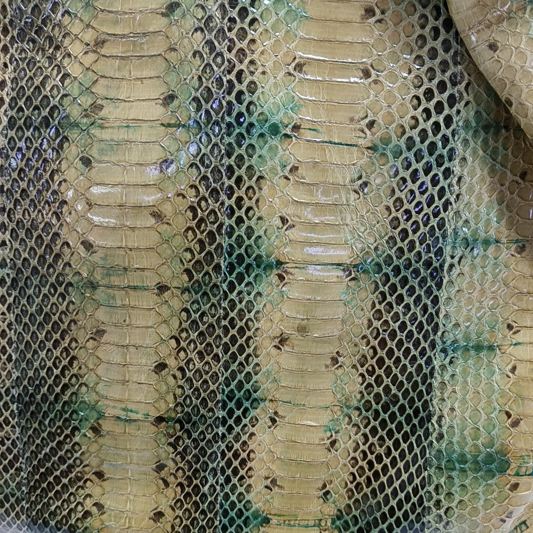 Python Multicolor