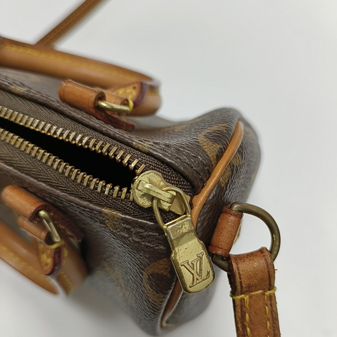 SPEEDY Nano Monogram Coated Canvas Brown