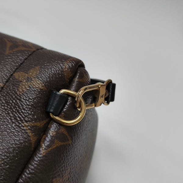 PALM SPRINGS Mini Monogram Coated Canvas Brown