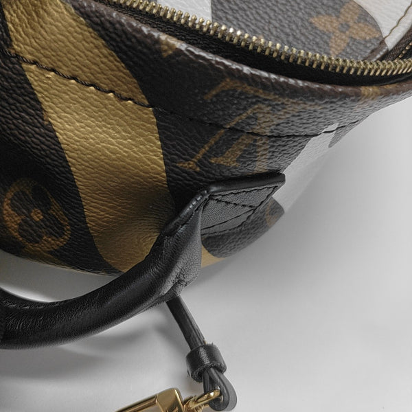 LV X LOL PALM SPRINGS Mini Monogram Coated Canvas Brown