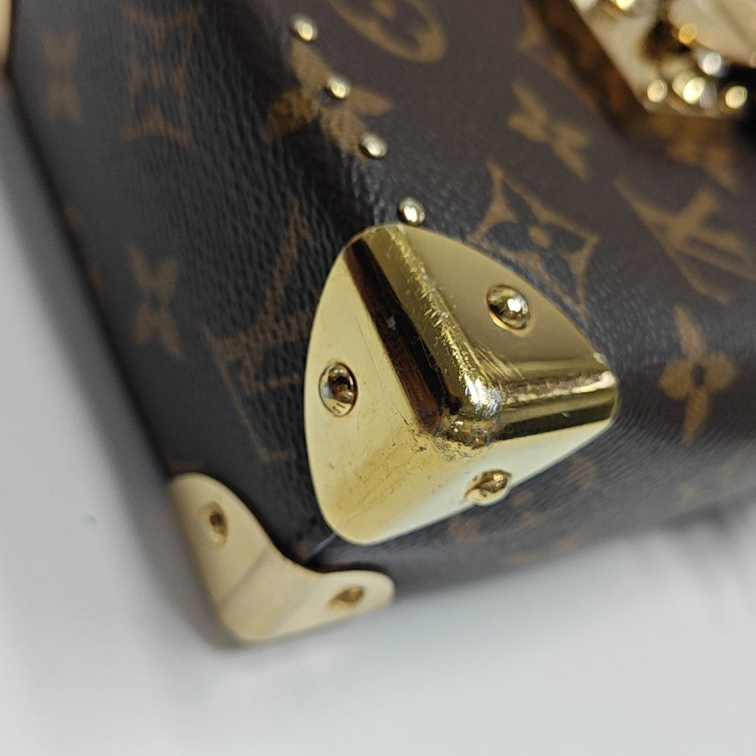 CAMERA BOX Monogram Coated Canvas Brown