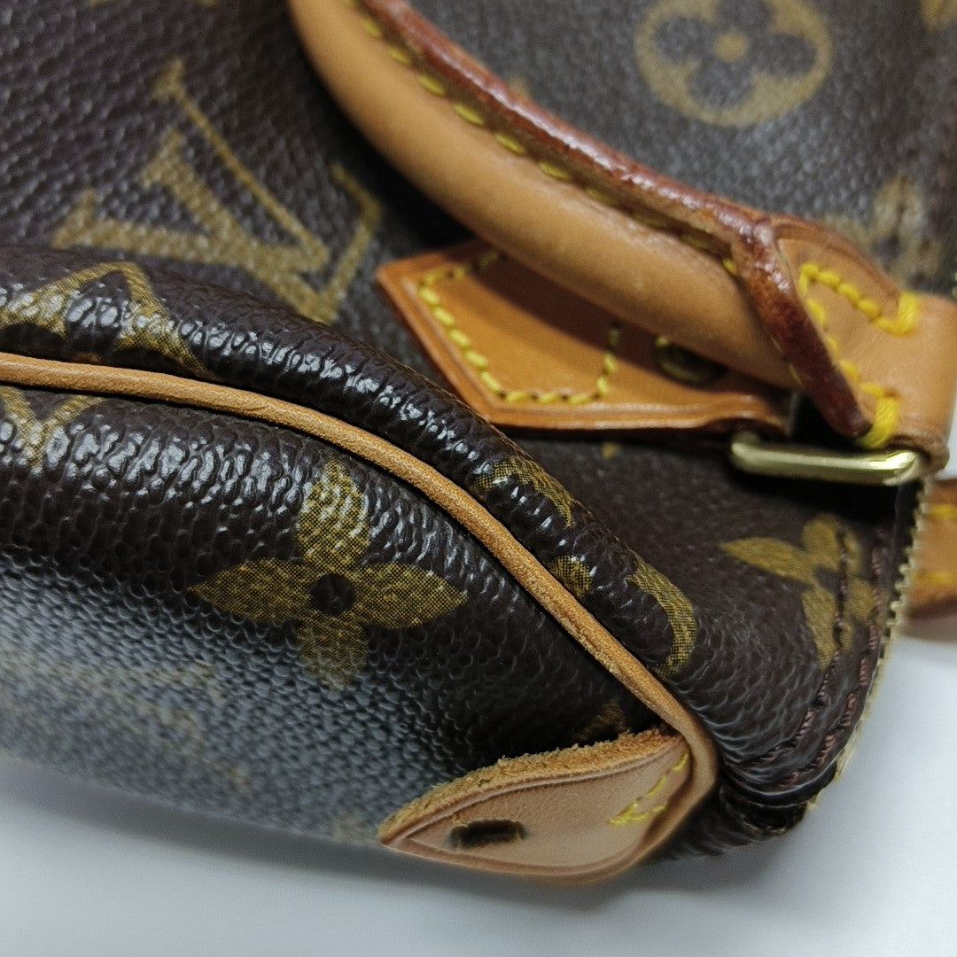 SPEEDY Nano Monogram Coated Canvas Brown