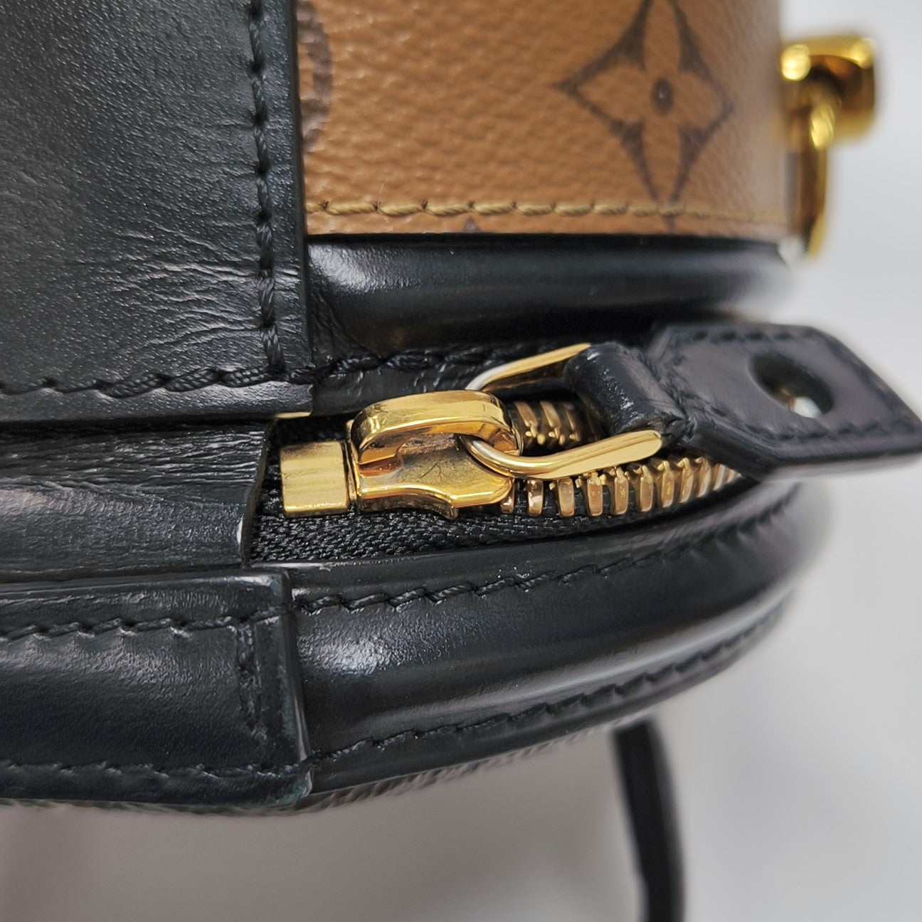 CANNES PM Monogram Coated Canvas Brown