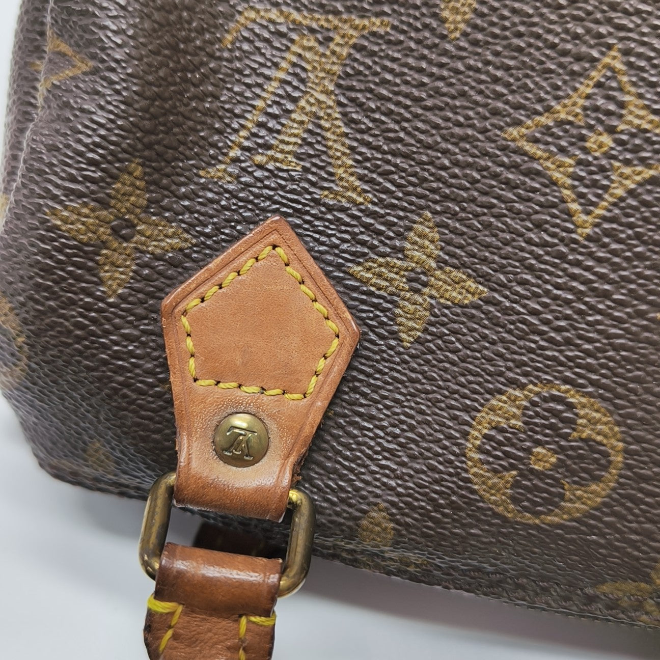 SPEEDY Nano Monogram Coated Canvas Brown