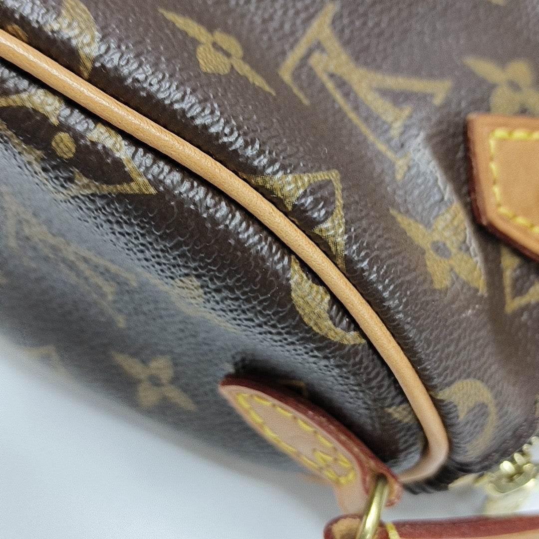 SPEEDY Nano Monogram Coated Canvas Brown