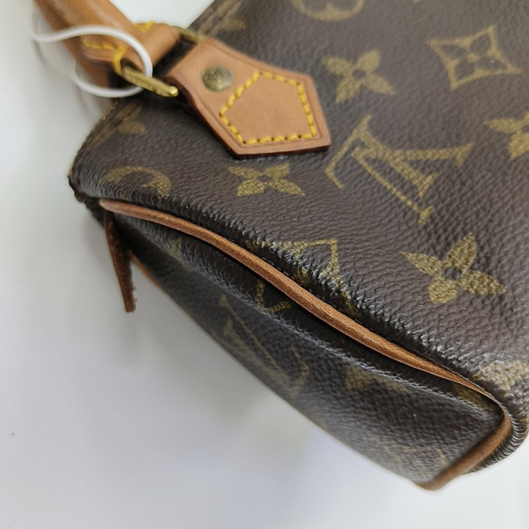 SPEEDY Nano Monogram Coated Canvas Brown