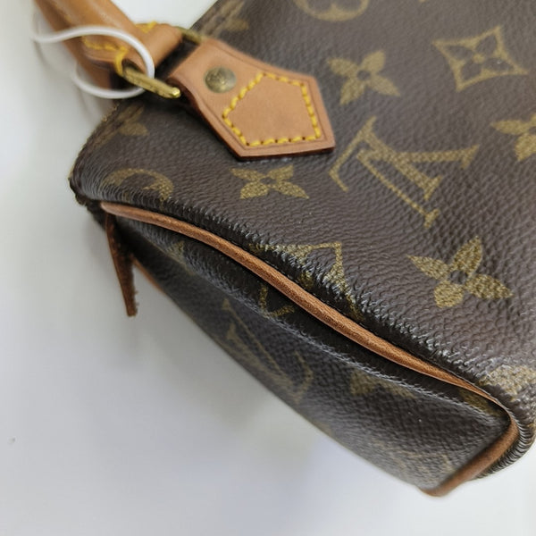 SPEEDY Nano Monogram Coated Canvas Brown
