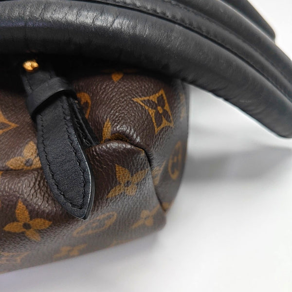 PALM SPRINGS PM Monogram Coated Canvas Brown