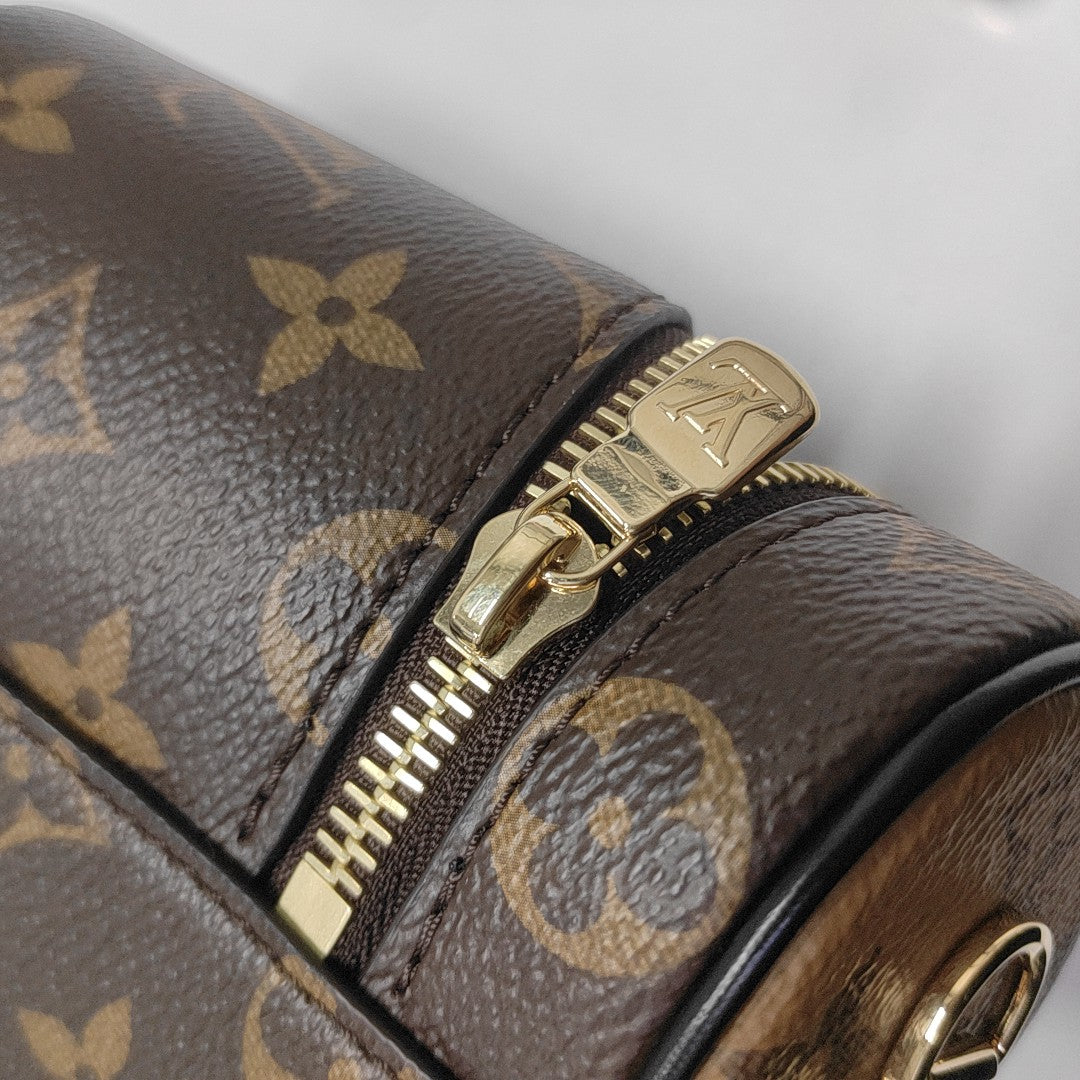 Vanity Chain Pouch Monogram Coated Canvas Brown