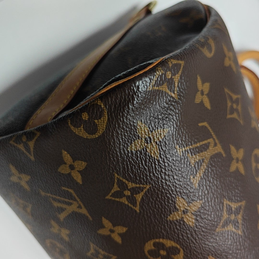 SPEEDY 25 Monogram Coated Canvas Brown