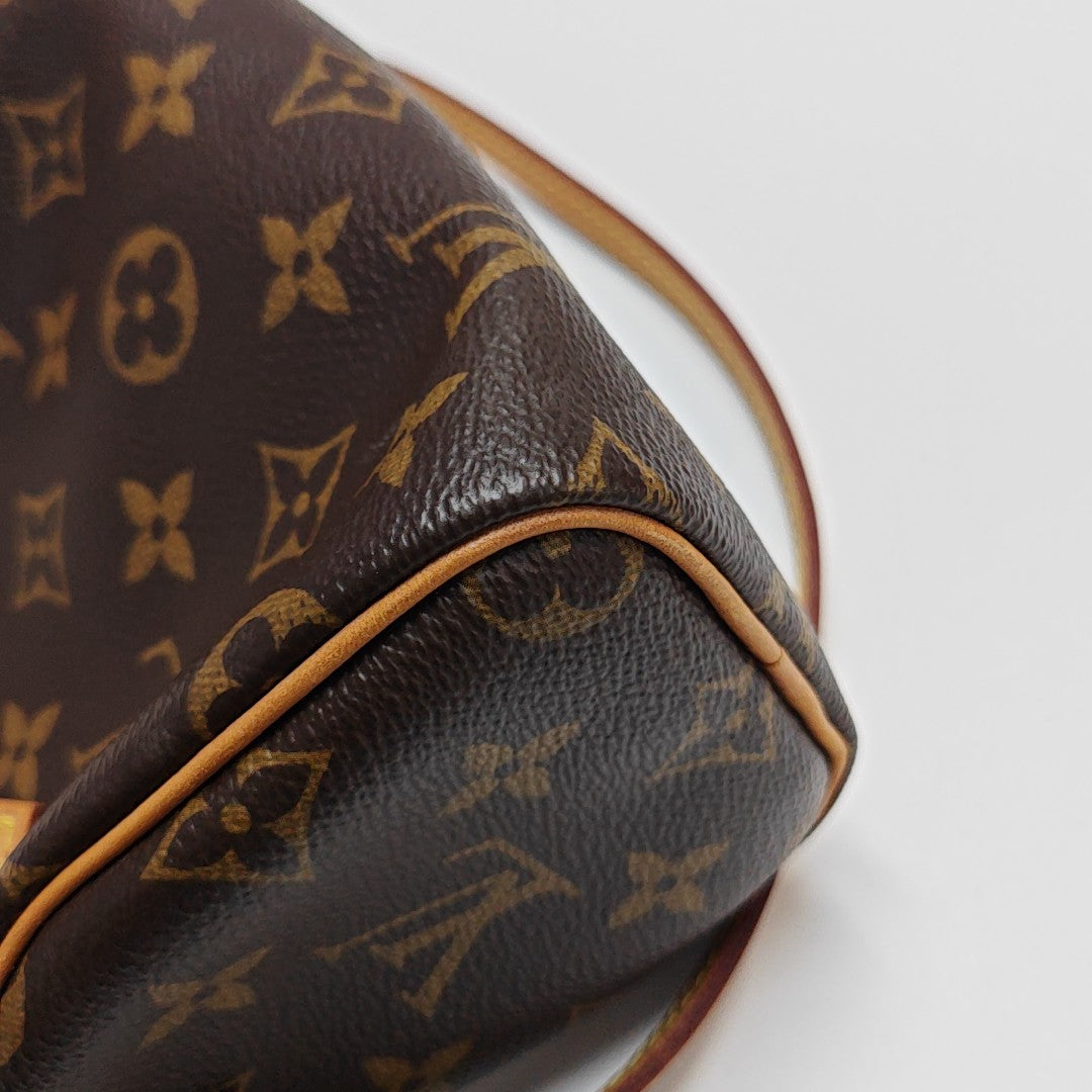 SPEEDY Nano Monogram Coated Canvas Brown
