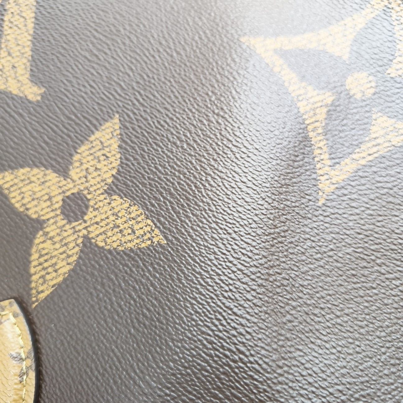 ONTHEGO GM Monogram Coated Canvas Brown