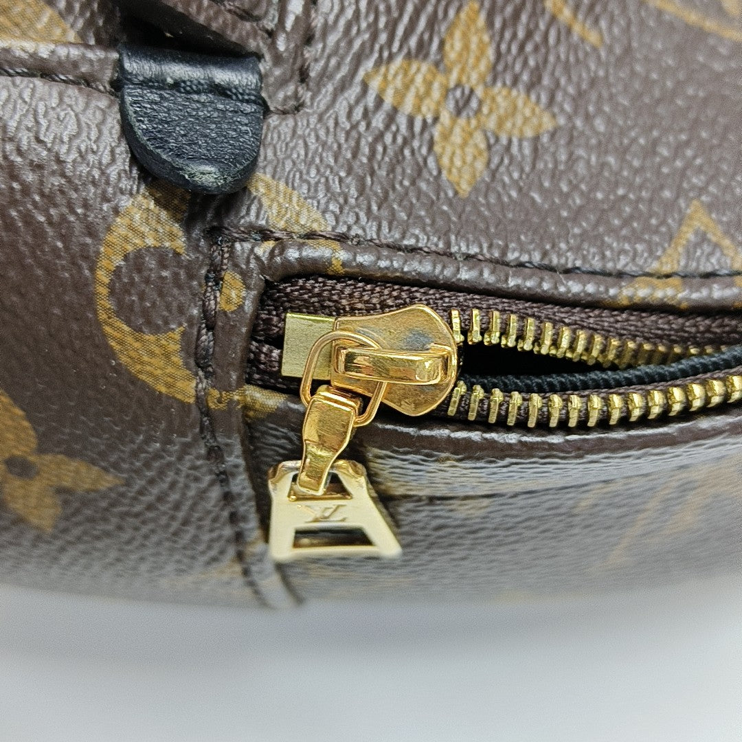PALM SPRINGS Mini Monogram Coated Canvas Brown