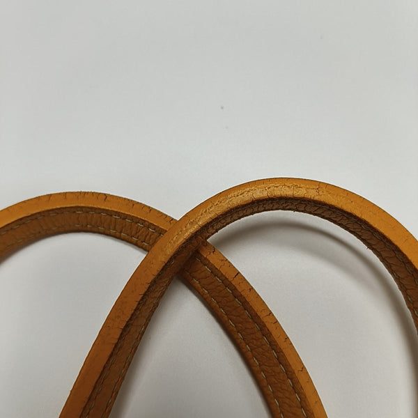 Saint Louis PM Coated Canvas Yellow