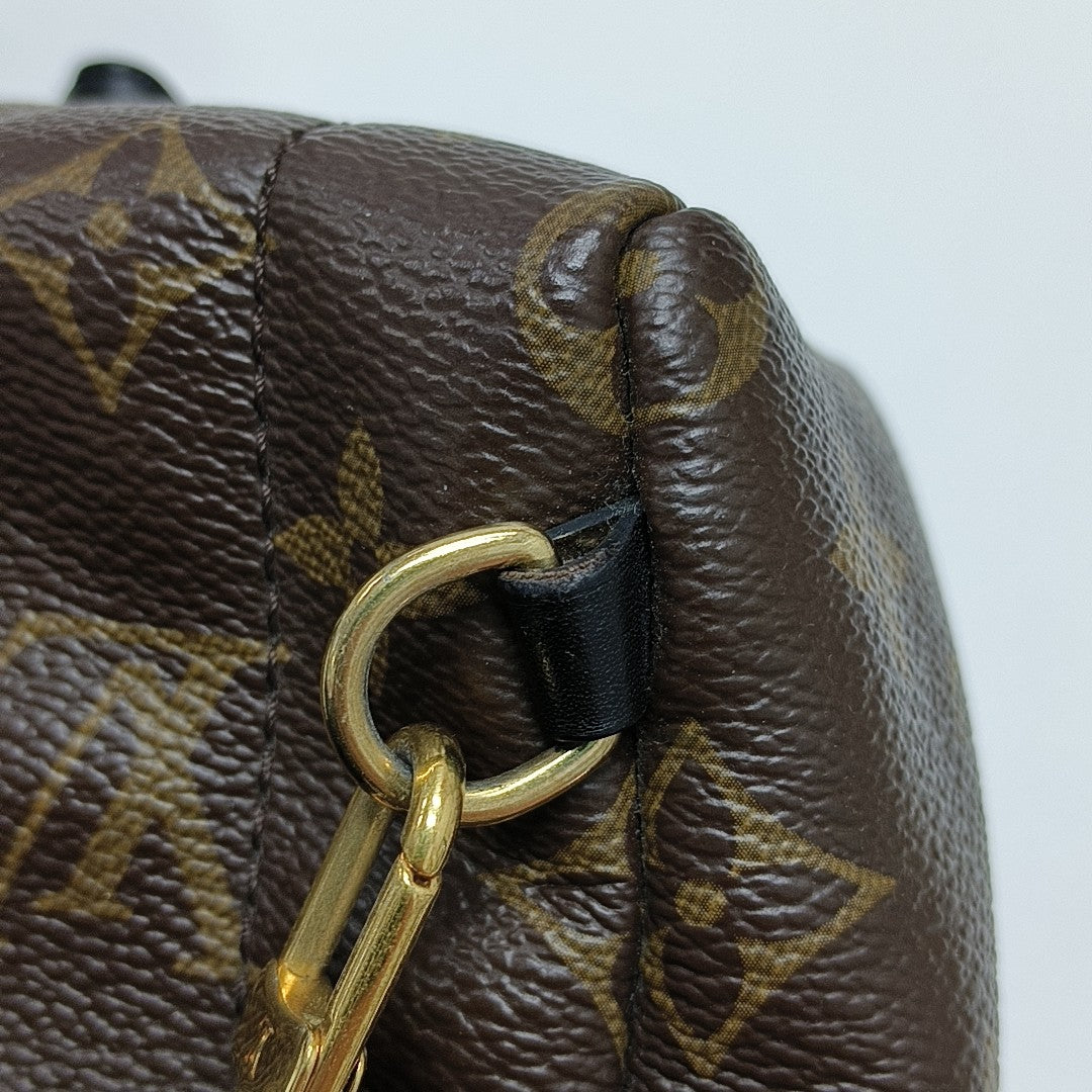PALM SPRINGS Mini Monogram Coated Canvas Brown