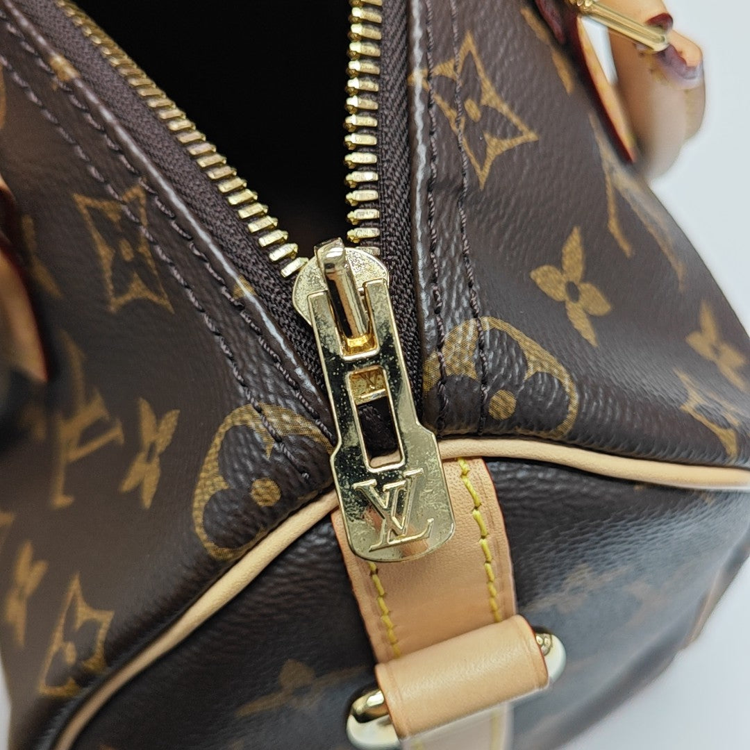 SPEEDY 25 Monogram Coated Canvas Brown