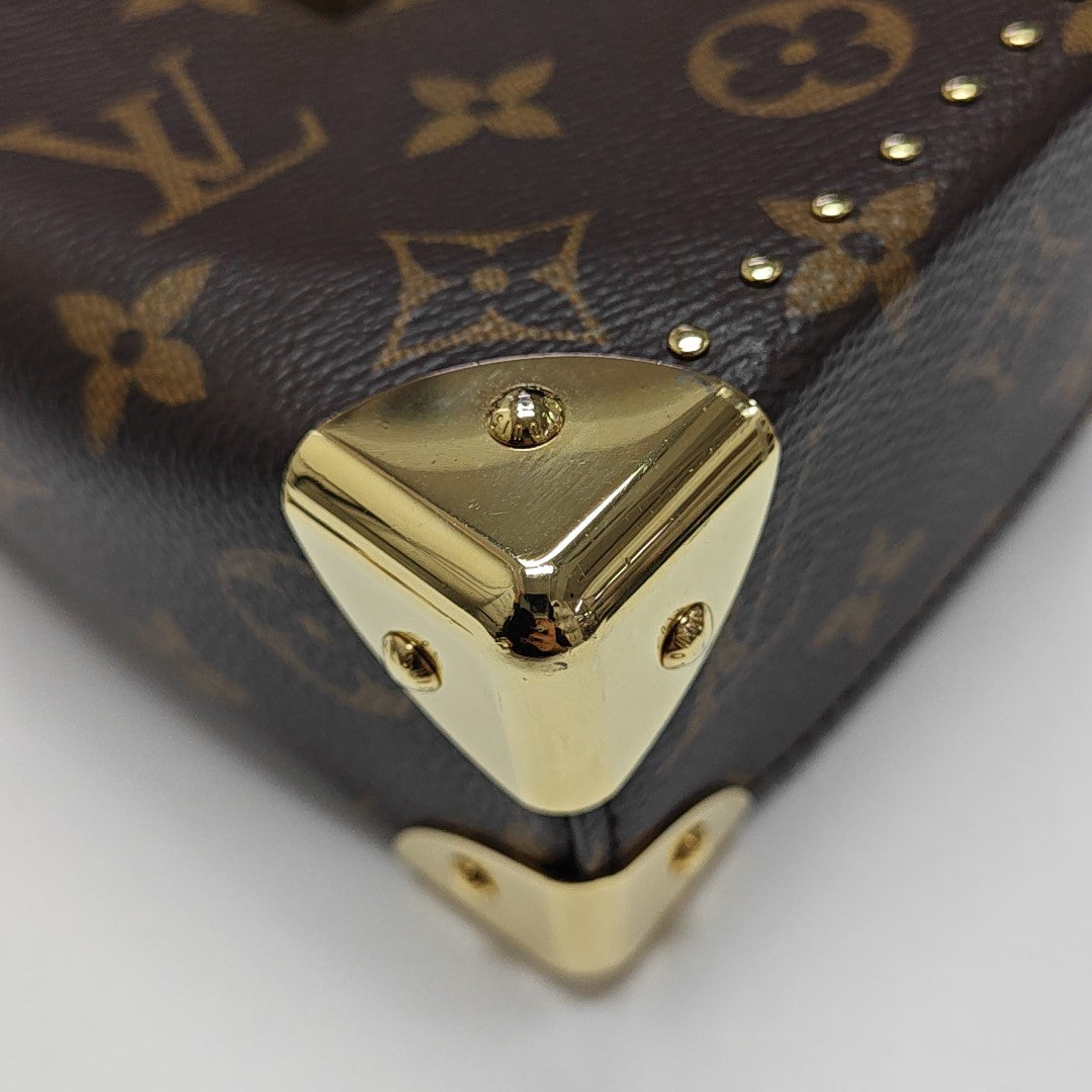 CAMERA BOX Monogram Coated Canvas Brown