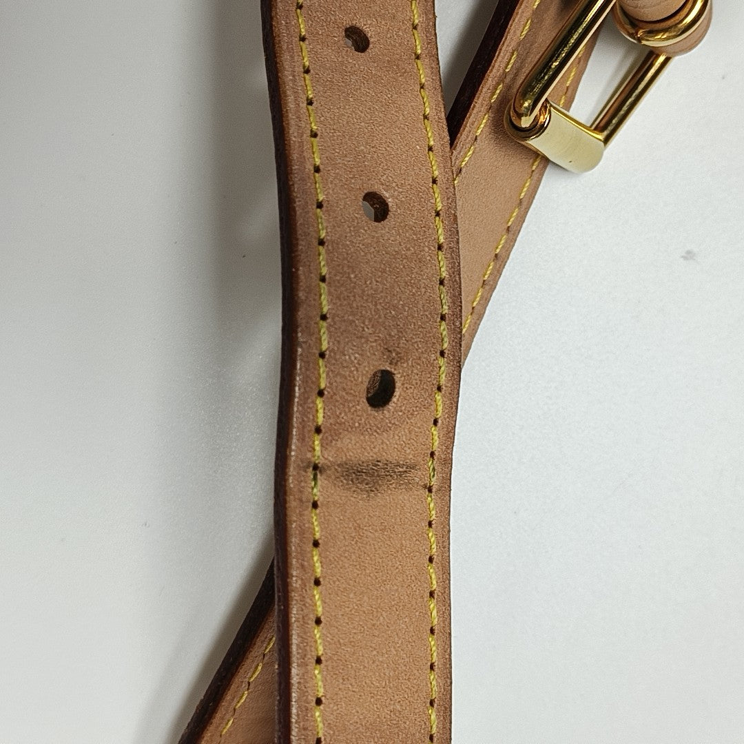 NOÉ BB Monogram Coated Canvas Brown