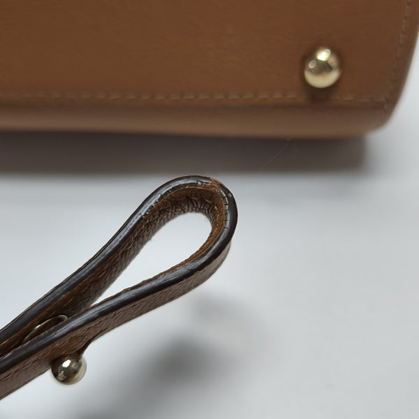 Brillant Mini Calfskin Brown