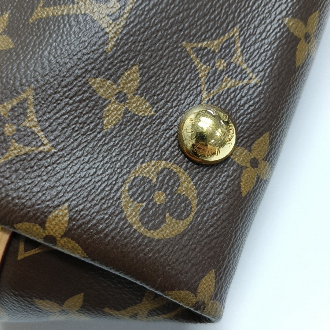CARRYALL PM Monogram Coated Canvas Brown