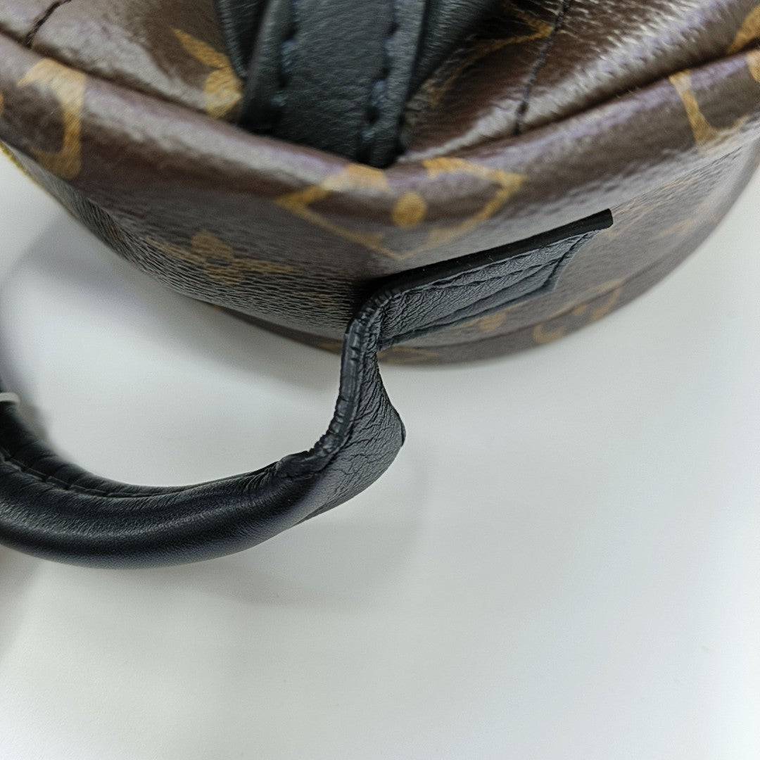 PALM SPRINGS PM Monogram Coated Canvas Brown