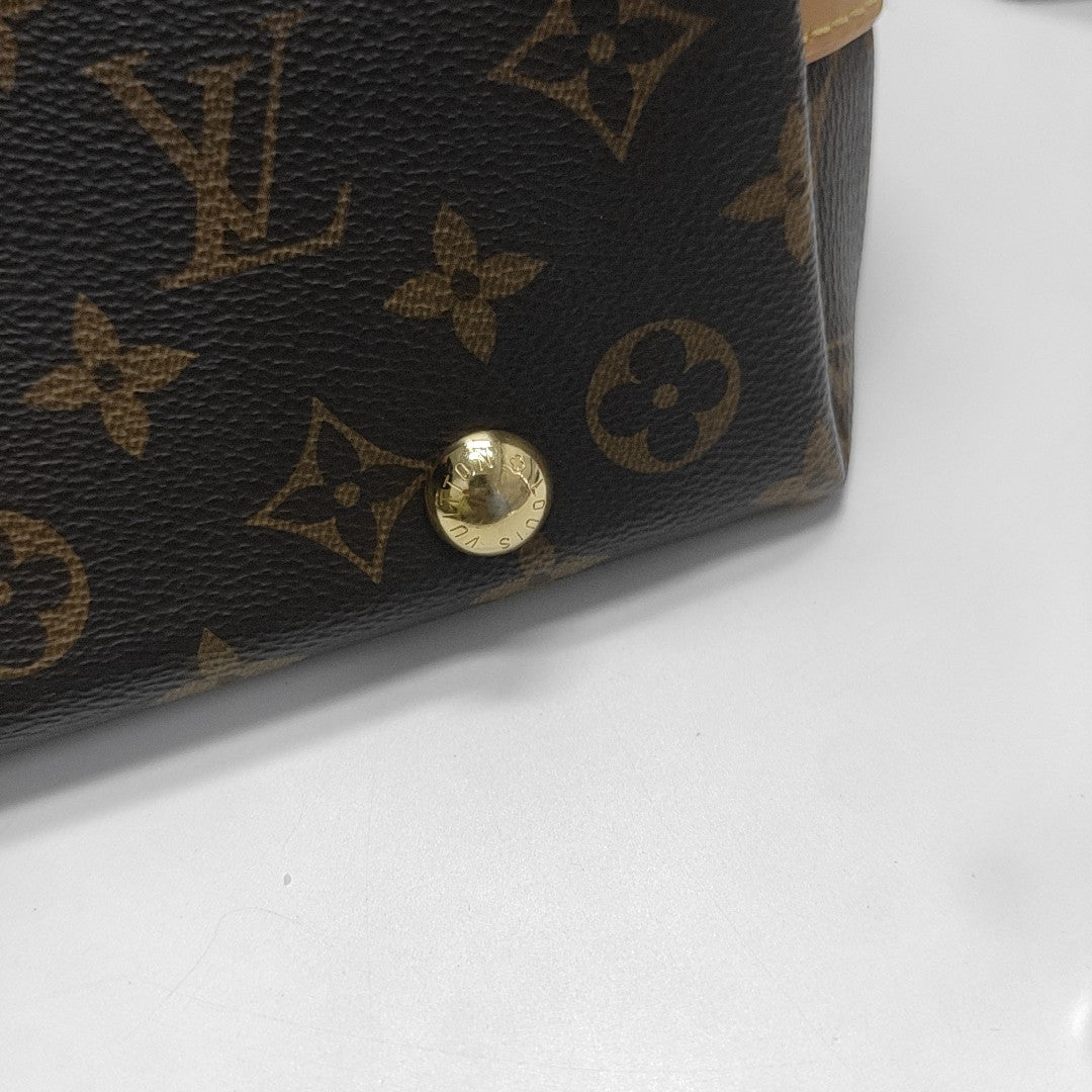 CARRYALL PM Monogram Coated Canvas Brown