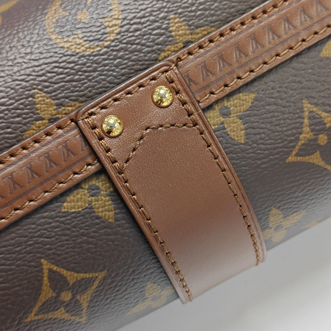 PAPILLON 19 Monogram Coated Canvas Brown