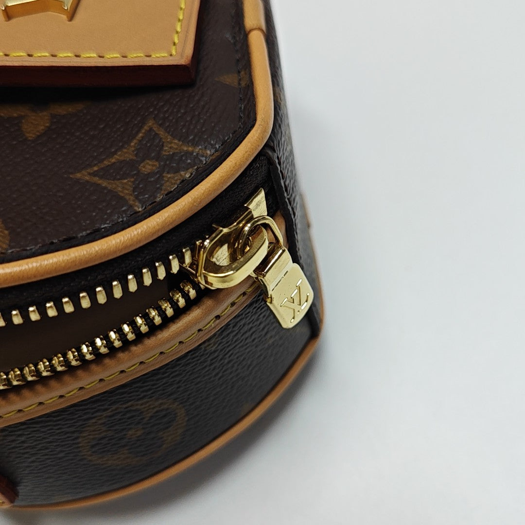 BOITE CHAPEAU Mini Monogram Coated Canvas Brown