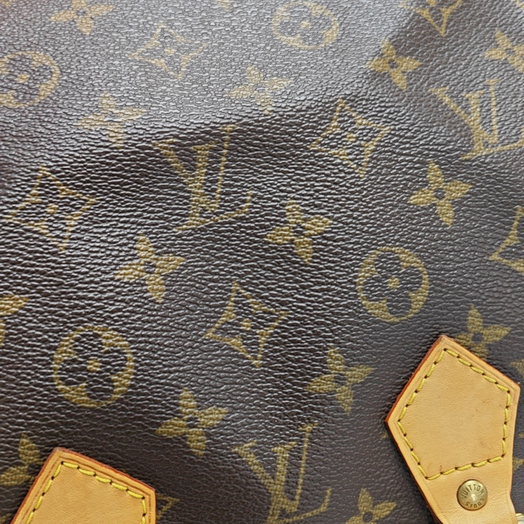 SPEEDY 25 Monogram Coated Canvas Brown