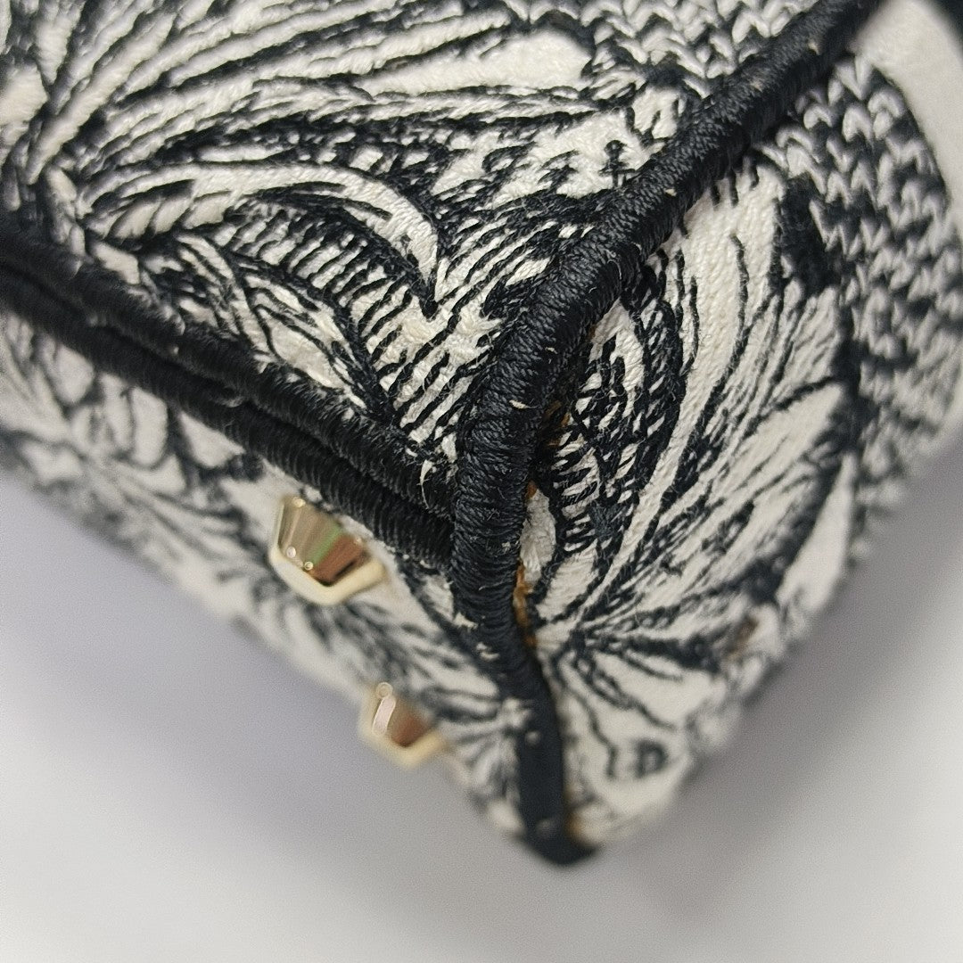 Lady Dior Mini Canvas Multicolor
