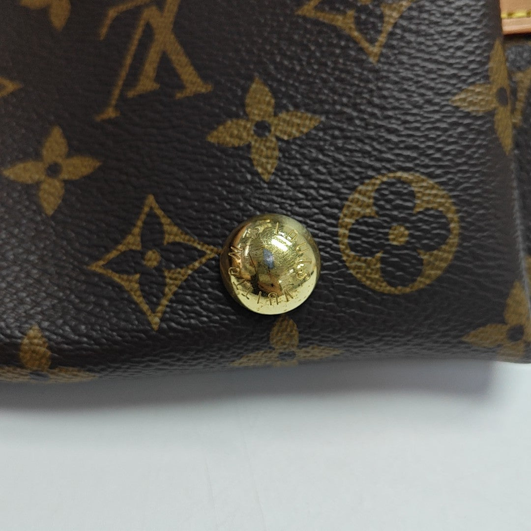 CARRYALL PM Monogram Coated Canvas Brown