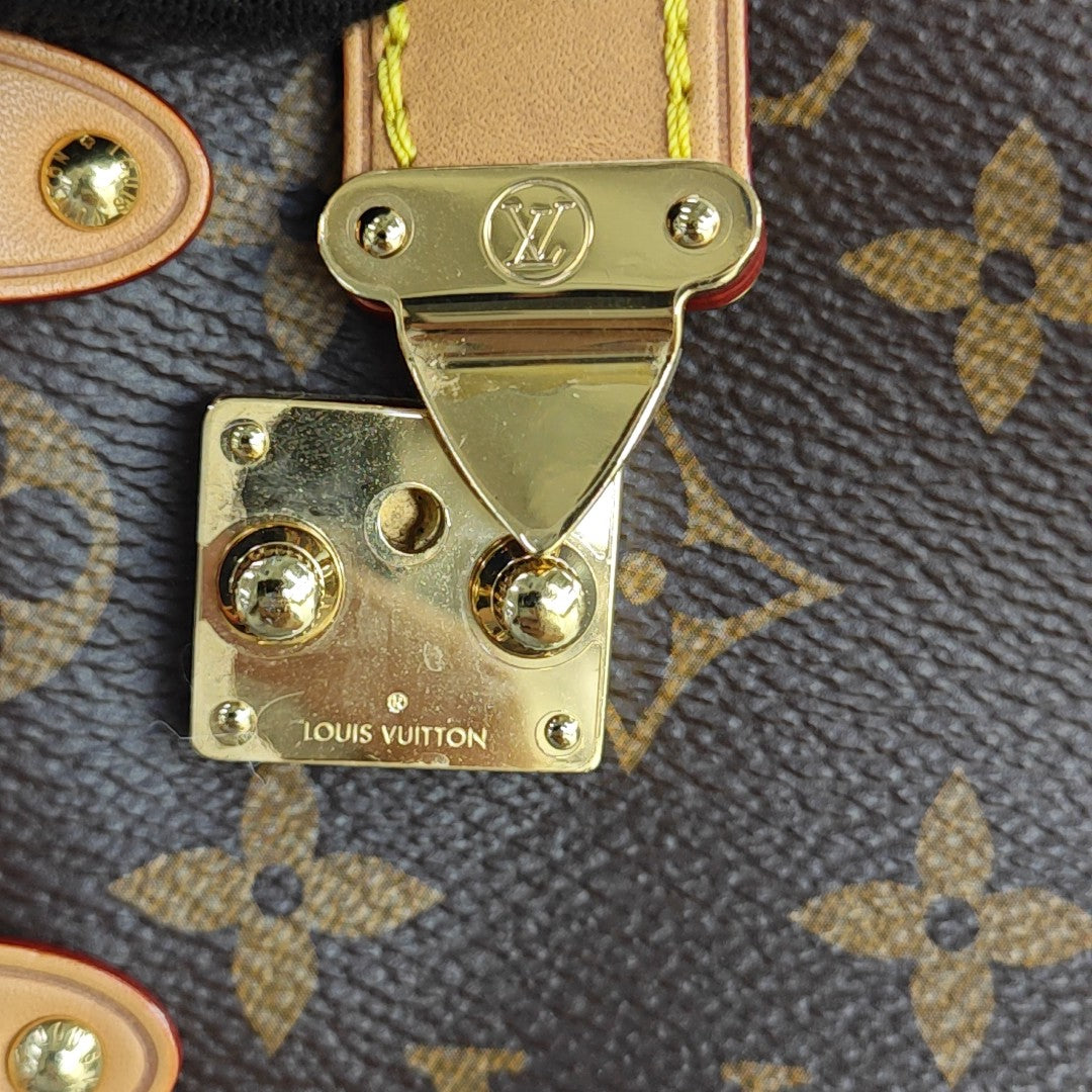 SIDE TRUNK PM Monogram Coated Canvas Brown