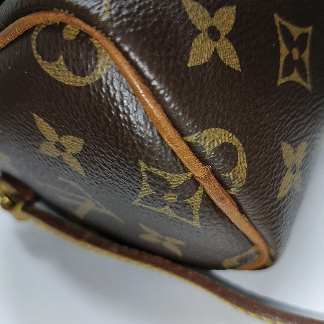 SPEEDY Nano Monogram Coated Canvas Brown