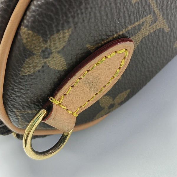 SPEEDY Nano Monogram Coated Canvas Brown