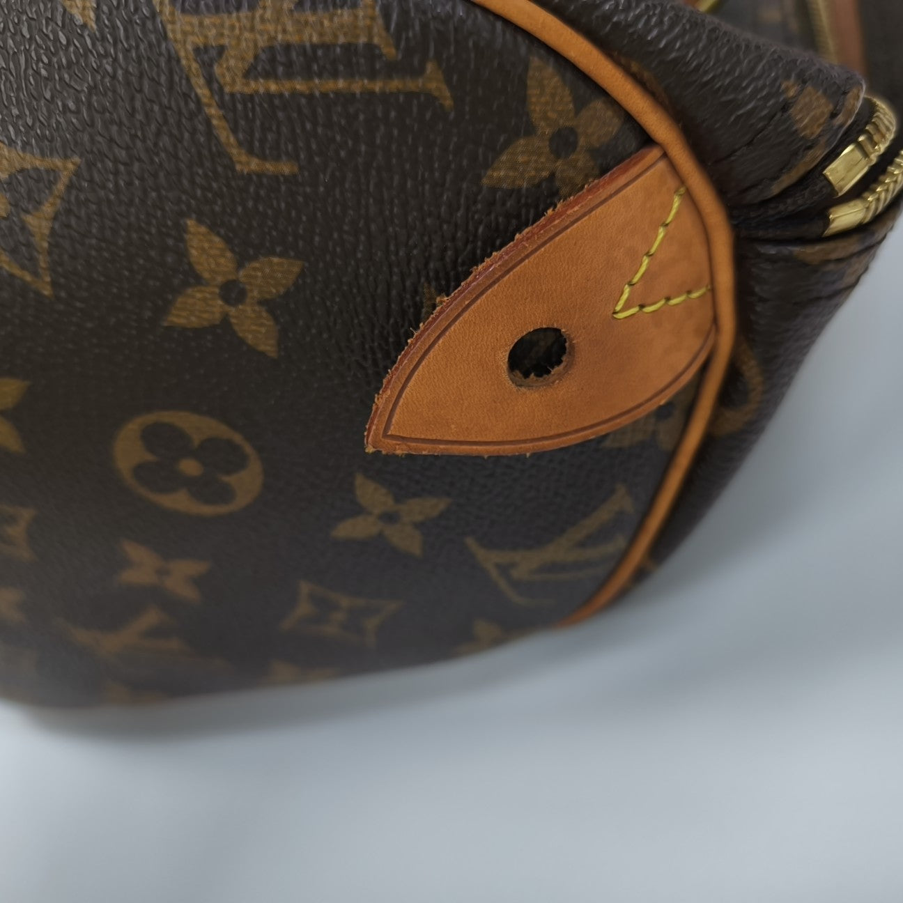 SPEEDY 30 Monogram Coated Canvas Brown