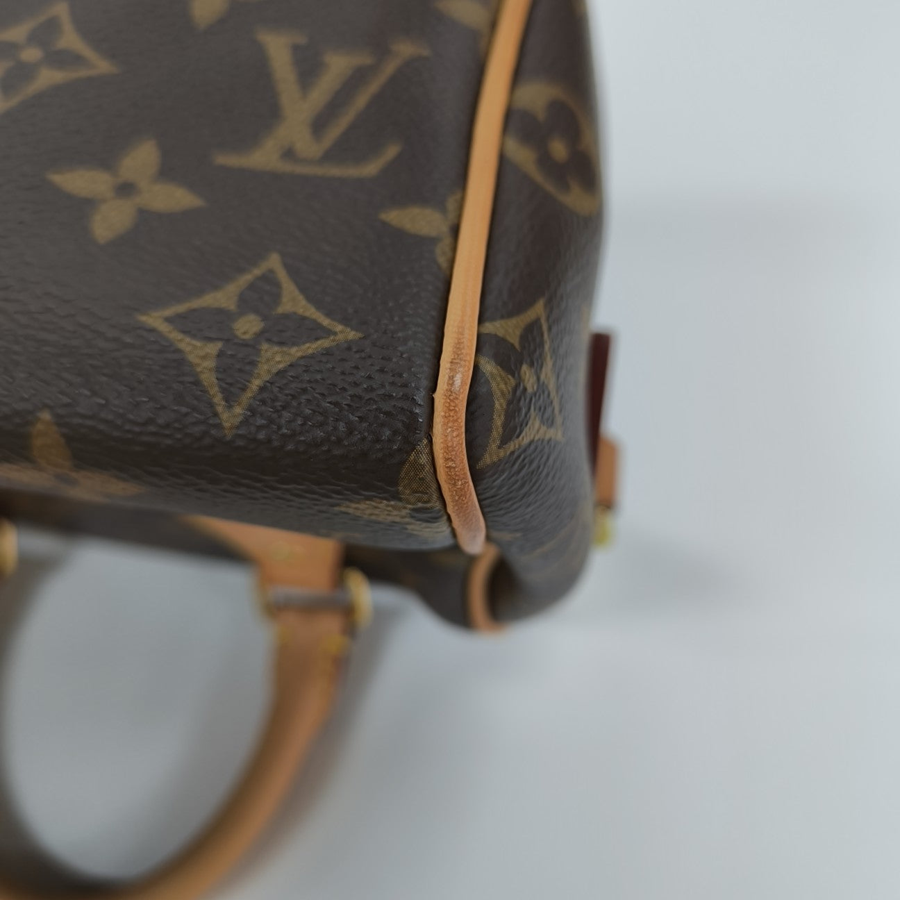 SPEEDY 20 Monogram Coated Canvas Brown