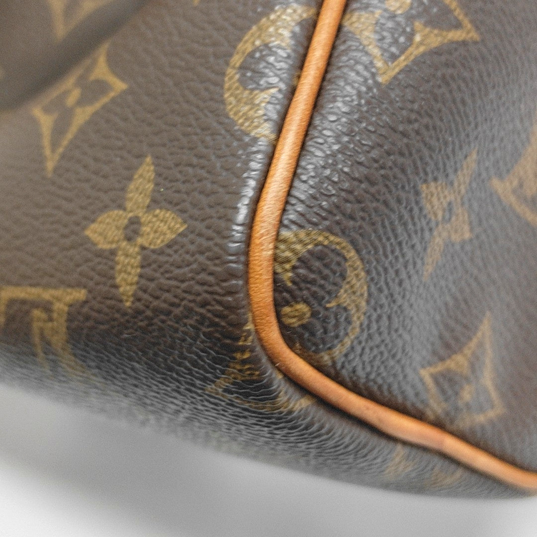 SPEEDY Nano Monogram Coated Canvas Brown