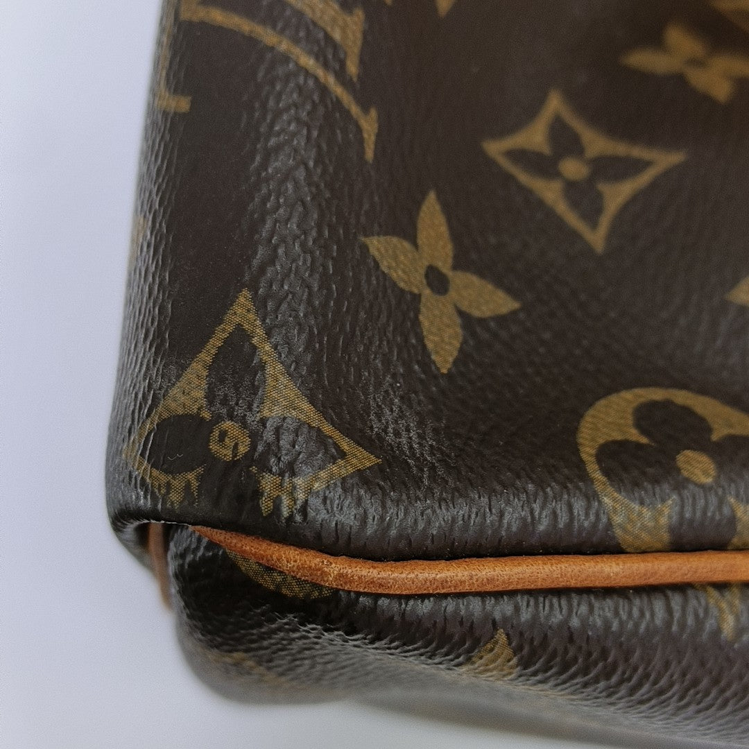 SPEEDY 25 Monogram Coated Canvas Brown