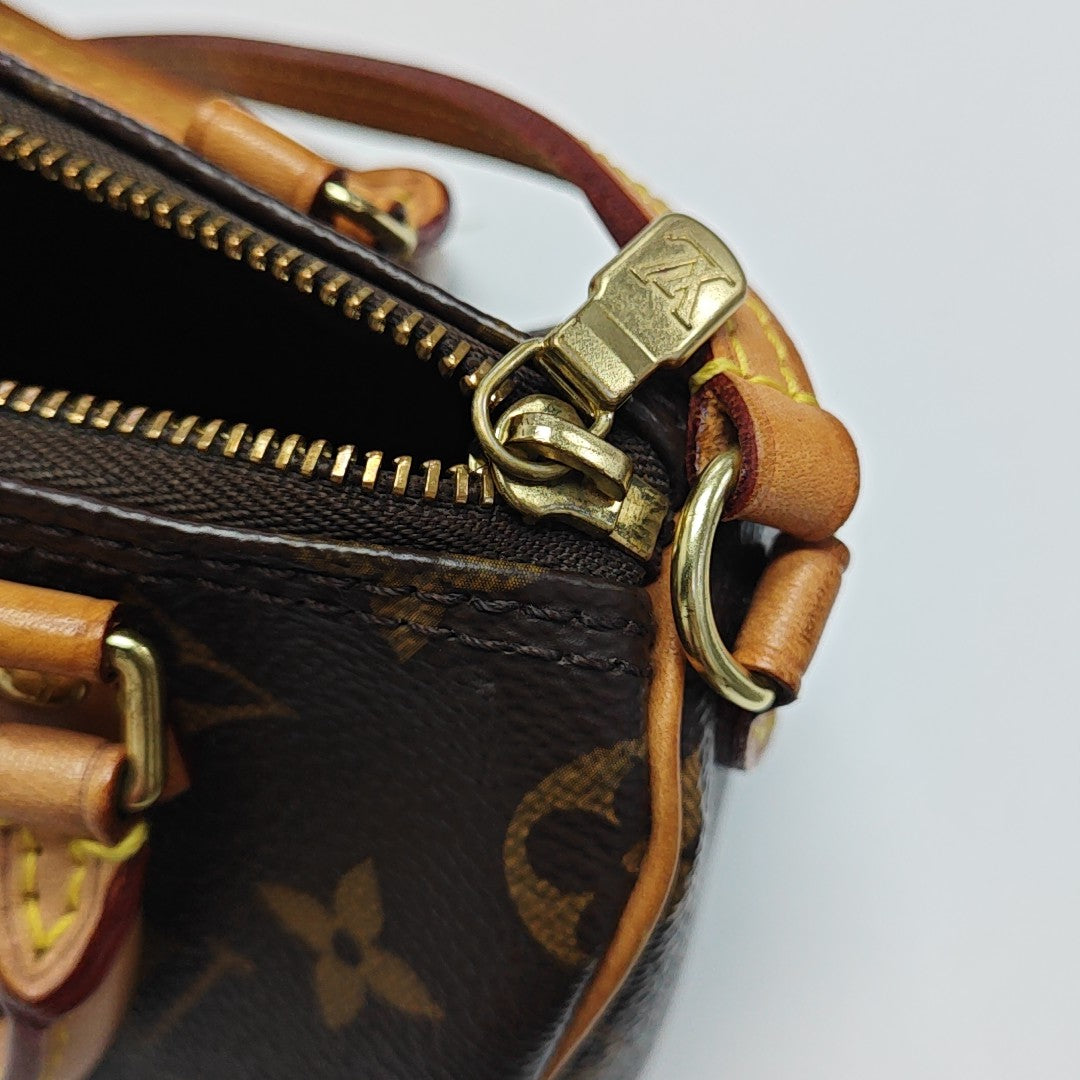SPEEDY Nano Monogram Coated Canvas Brown