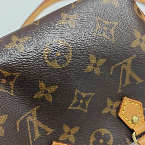 SPEEDY Nano Monogram Coated Canvas Brown